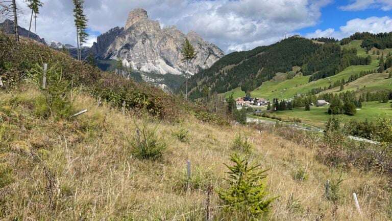 WOWnature Alta Badia