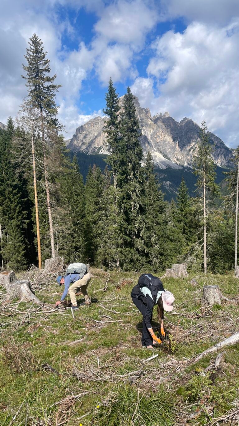 WOWnature Alta Badia