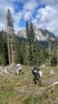 WOWnature Alta Badia