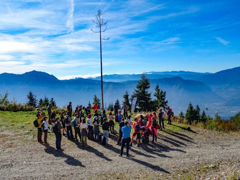 WOWnature Bosco della Panarotta