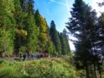 WOWnature Bosco della Panarotta