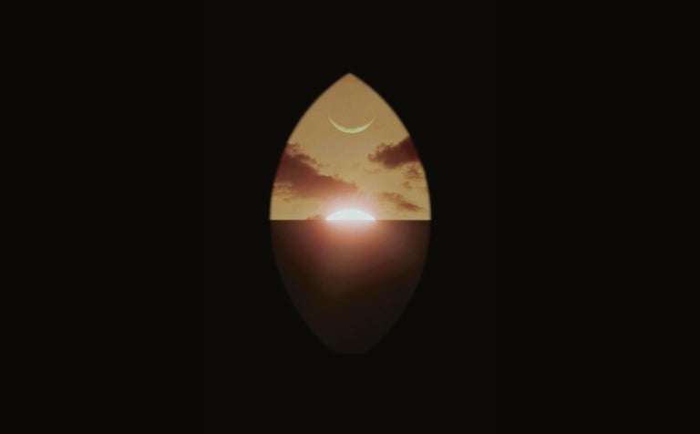 guida mostre Torino 2026, The Quantum Effect_Jacqui Davies_Cinematic Blossoming IV Dark Matter