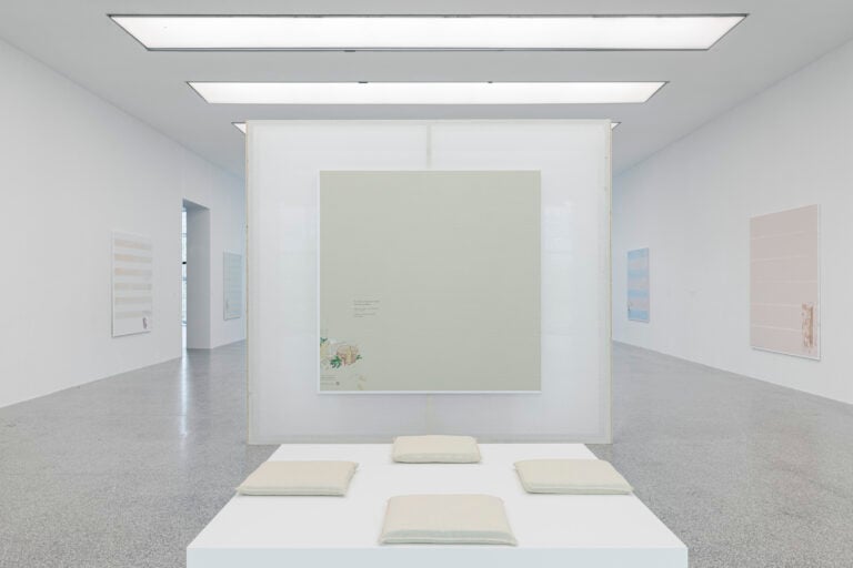Evelyn Taocheng Wang, Sweet Landscape, Museion di Bolzano, Installation view, &copy; Luca Guadagnini