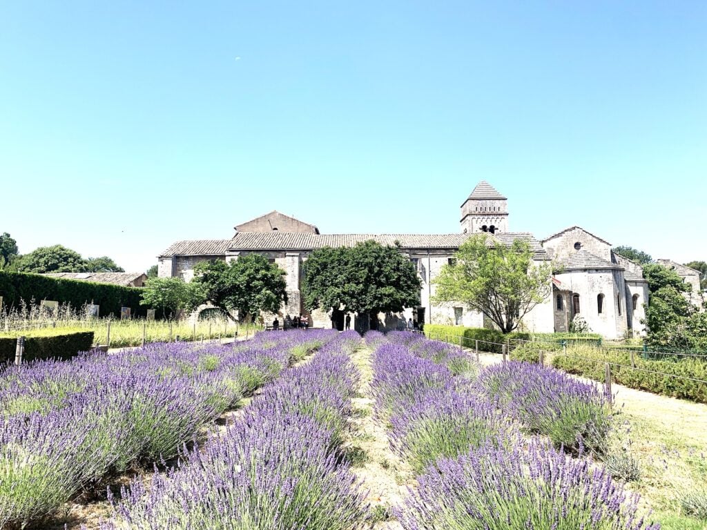 I giardini di Van Gogh: scoprire il monastero della Provenza dove dipinse i suoi capolavori 