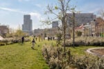Il parcheggio di Anversa trasformato in parco vince il Premio Europeo dello Spazio Pubblico