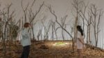 Ana Mendieta alla Tate Modern