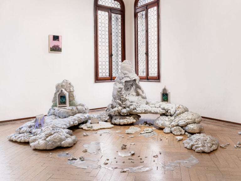 Da cosa nasce cosa, Bevilacqua La Masa, Venezia, foto Nico Covre - artista: Ilaria Costaglia