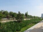 Il parcheggio di Anversa trasformato in parco vince il Premio Europeo dello Spazio Pubblico