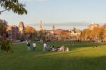 Il parcheggio di Anversa trasformato in parco vince il Premio Europeo dello Spazio Pubblico