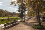 Il parcheggio di Anversa trasformato in parco vince il Premio Europeo dello Spazio Pubblico