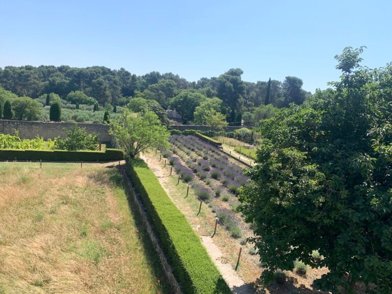 Saint-Paul-de-Mausole, Monastero St Remy Provenza, dove soggiorn&ograve; Van Gogh, ph Claudia Zanfi