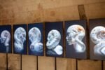 La mostra diffusa a Matera Capitale Mediterranea della Cultura e del dialogo 2026