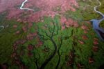 Come si fotografa una soluzione alla crisi climatica? Una mostra a Milano prova a rispondere