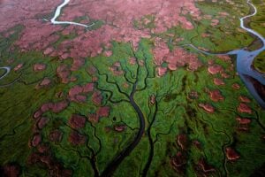 Come si fotografa una soluzione alla crisi climatica? Una mostra a Milano prova a rispondere