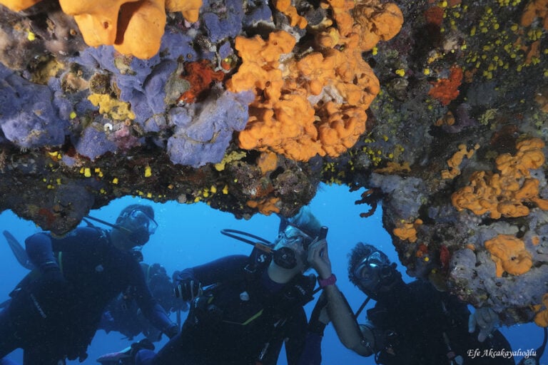 Da Troia, un viaggio alla scoperta della provincia di &Ccedil;anakkale in Turchia, &Ccedil;anakkale Saros