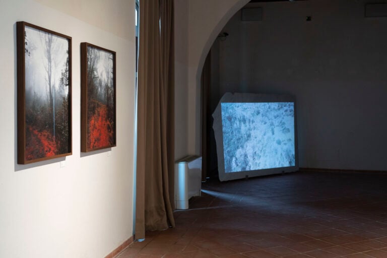 Stefano Cerio al MudaC di Carrara