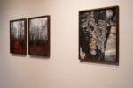 Le “cicatrici” della natura negli scatti di Stefano Cerio a Carrara