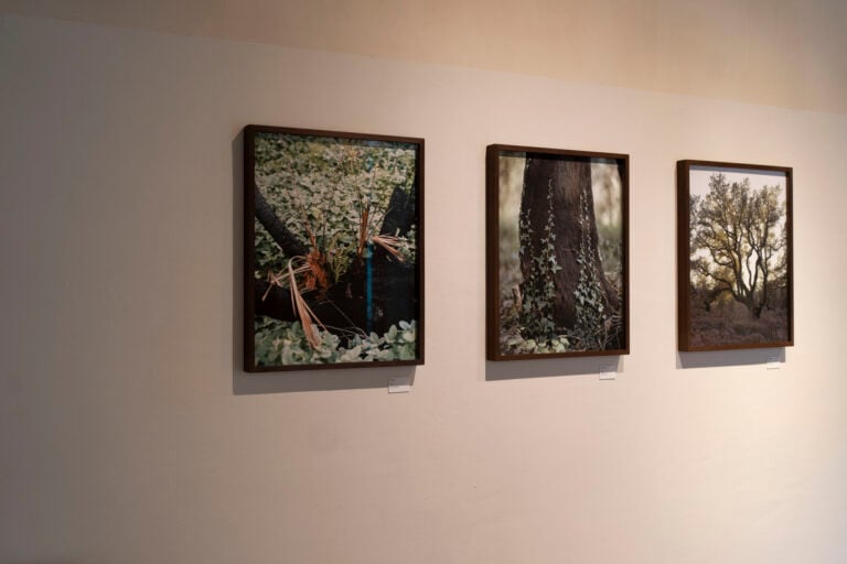 Stefano Cerio al MudaC di Carrara