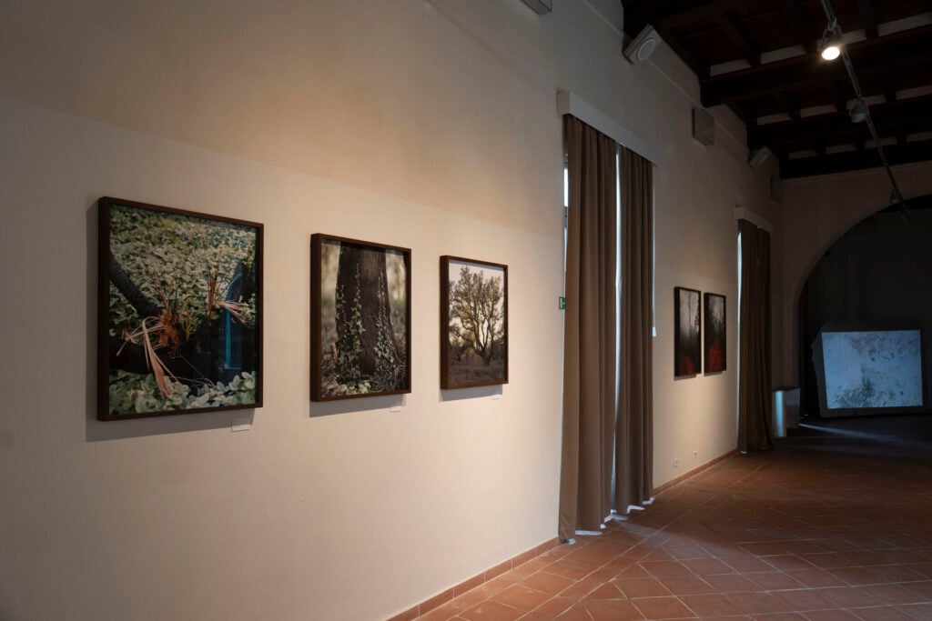 Stefano Cerio al MudaC di Carrara