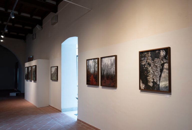 Stefano Cerio al MudaC di Carrara