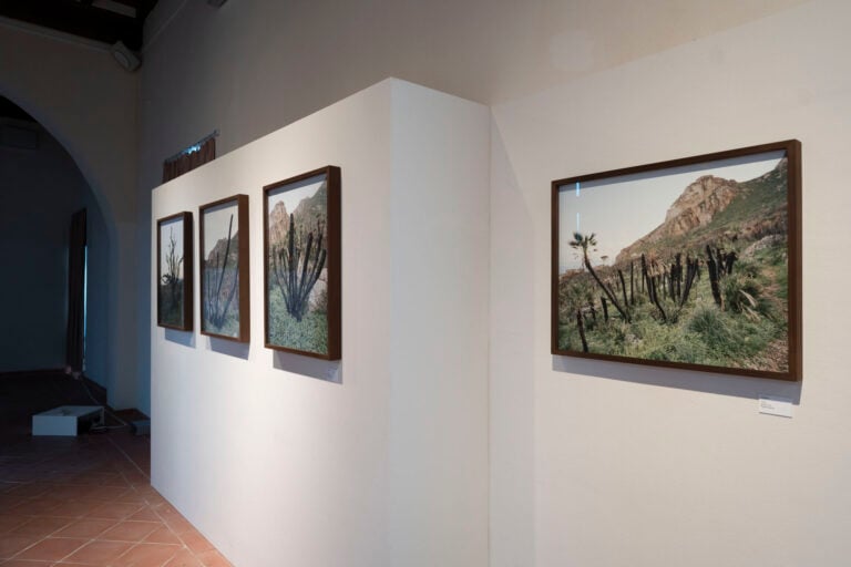 Stefano Cerio al MudaC di Carrara