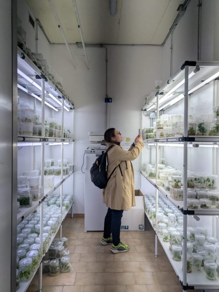 I dati dei laboratori di ricerca del CNR diventano una installazione visivo-sonora a Torino