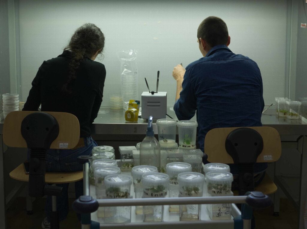 I dati dei laboratori di ricerca del CNR diventano una installazione visivo-sonora a Torino
