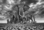 A Milano c’è un nuovo spazio dedicato alla fotografia contemporanea. In dialogo con design e innovazione