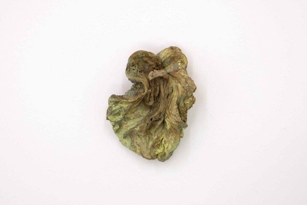 Ella Littwitz – Salt