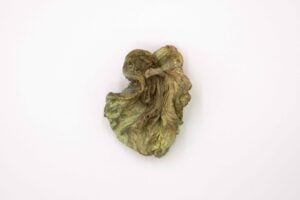 Ella Littwitz - Salt