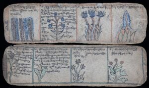 Tesori - Il patrimonio della Biblioteca nazionale centrale di Roma