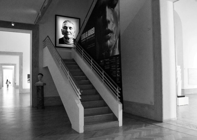 Exhibition view: Luigi & Iango. Corpi speciali. Ph: Manuela De Leonardis
