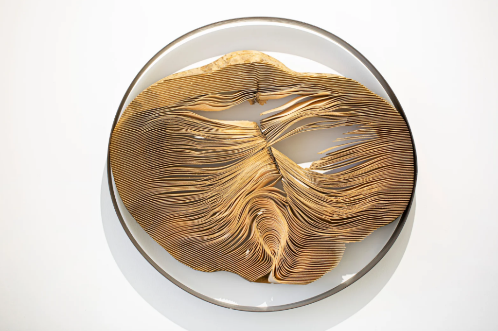 From scratch, Galleria Peter Frey, Verona, 2026