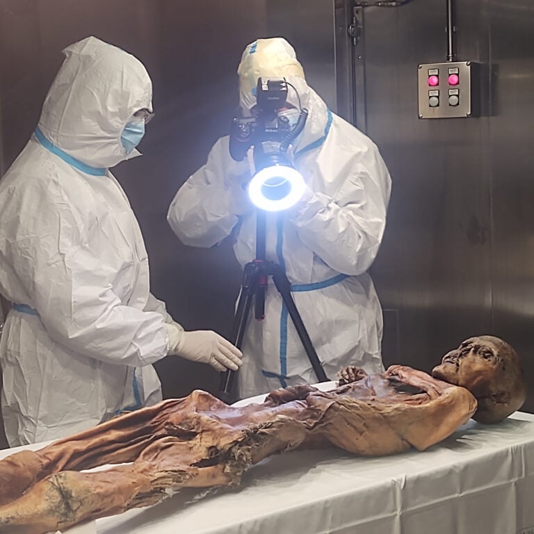 &Ouml;tzi, l&rsquo;uomo del ghiaccio, Iceman Twins associated finds mummy 1 (c) South Tyrol Museum of Archaeology