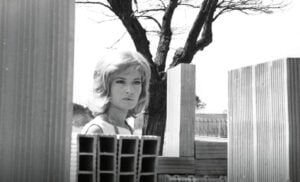 Festa del Cinema di Roma 2026: Monica Vitti, Javier Bardem e la guida ai film da tenere d’occhio