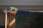 "Cos&igrave;, distanti, ci veniamo incontro. Geografie di prossimit&agrave;" Istituto Italiano di Cultura di Atene, Installation view