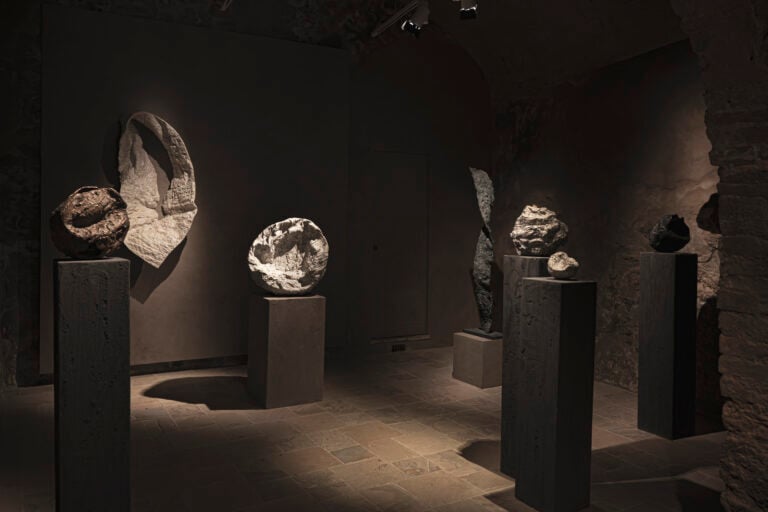 A Volterra gli alberi diventano archivi della memoria nelle sculture di Janine Thüngen-Reichenbach 