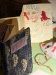 La mostra "Specchi del Giappone" di Stefano Faravelli al Castello di Racconigi