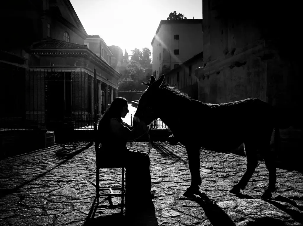 Marina Abramović arriva a Roma e mette un asino in bronzo sotto un arco di trionfo