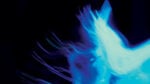 martae, BIOLUMINESCENCE-CMY