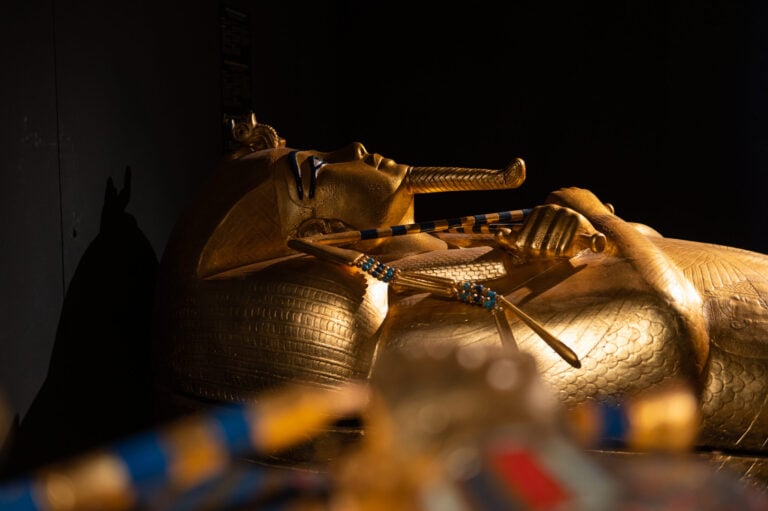 Tutankhamon: la tomba, il tesoro, la maledizione, Palazzo Belloni, Bologna, Installation view Intervista a Zahi Hawass