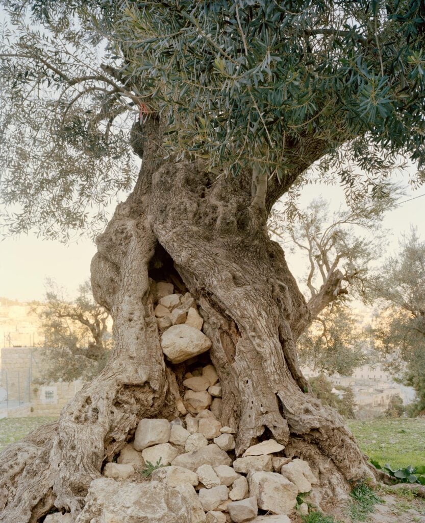 Narnimmaginaria, Geografia minore della Terra Santa di Nausica Giulia Bianchi