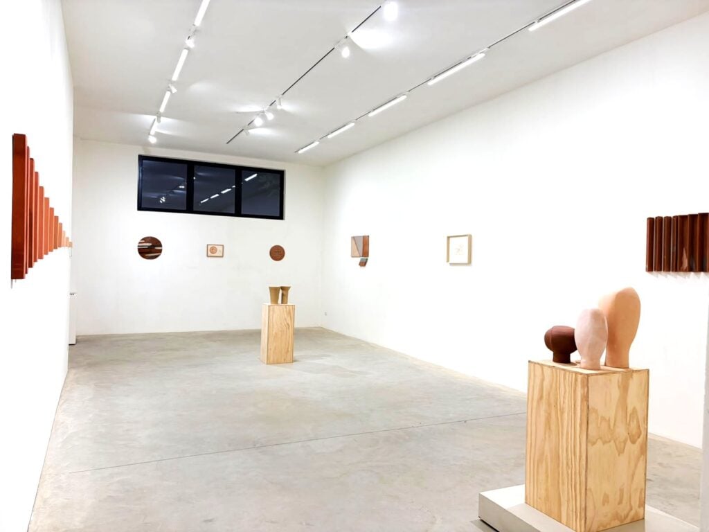 Nedda Guidi, Memoria Lineare, installation view at Scaramouche Gallery, MIlano, 2026