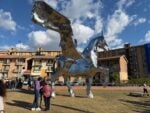 L'opera Pegaso al quartiere Librino