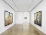 La mostra di Rirkrit Tiravanija da Pilar Corrias
