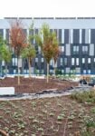 Sembra un parco sospeso ma &egrave; un nuovo ospedale pubblico di Milano.&nbsp;L'anteprima