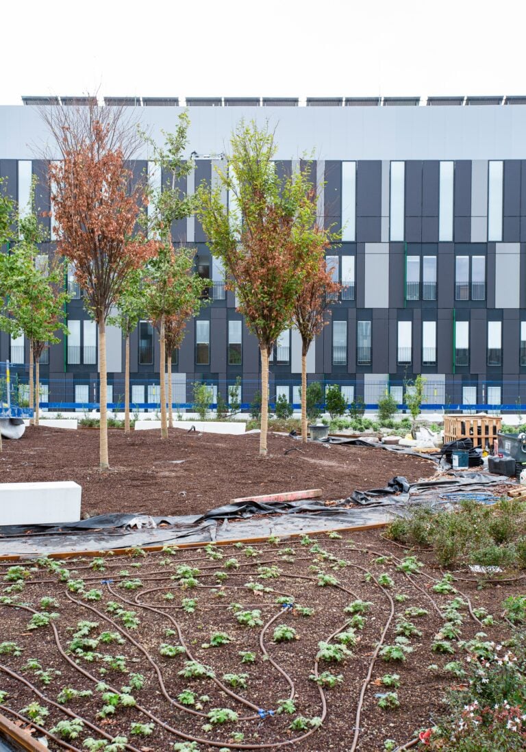 Sembra un parco sospeso ma &egrave; un nuovo ospedale pubblico di Milano.&nbsp;L'anteprima