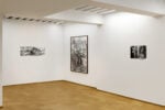 Veduta della mostra "True Reality" di Benjamin Jones alla Fondazione Elpis di Milano