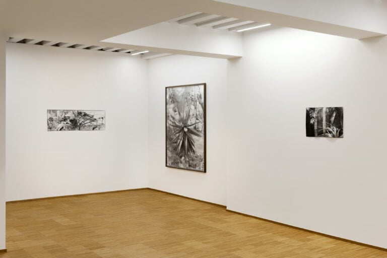 Veduta della mostra "True Reality" di Benjamin Jones alla Fondazione Elpis di Milano