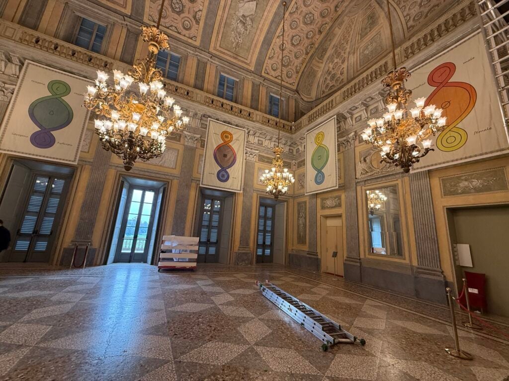 Come si tiene viva una tradizione? A Monza si incontrano 6 comunità: dai liutai ai cercatori di tartufi